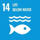 UN SDG 14: Life Below Water